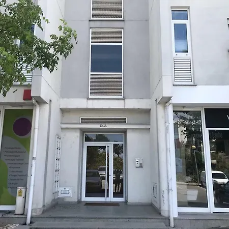 Exclusive Gæstehus Viseu